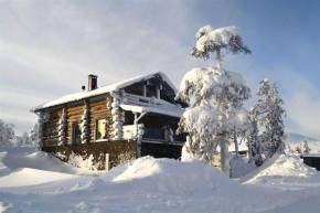 Aavalevi Haven Log Villa